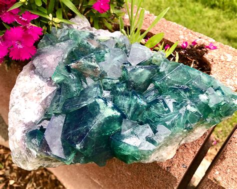 G Large Green Cubic Fluorite Crystal Cluster Mineral Display Specimen