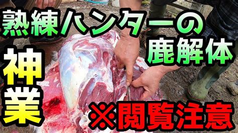 【閲覧注意】熟練猟師の神業シカ解体 ほぼノーカット Youtube