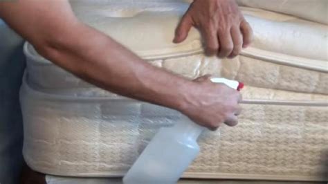 Spray Alcohol On A Mattress Here S What Happens Youtube