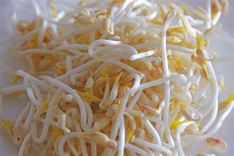 ¿Por qué es bueno para tu salud comer brotes de soja? - Garpa ...