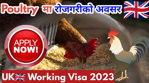 Uk Working Visa For Nepali Uk Working Visa From Nepal How To Apply