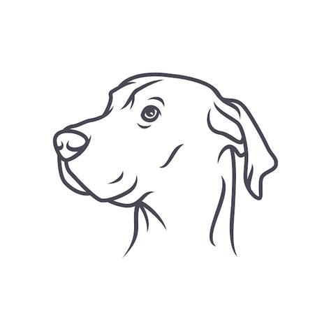 Premium Vector Labrador Retriever Dog Vector Logoicon Illustration