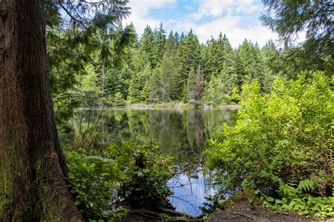 Conservation Opportunities Identified In 17 Pacific Northwest National