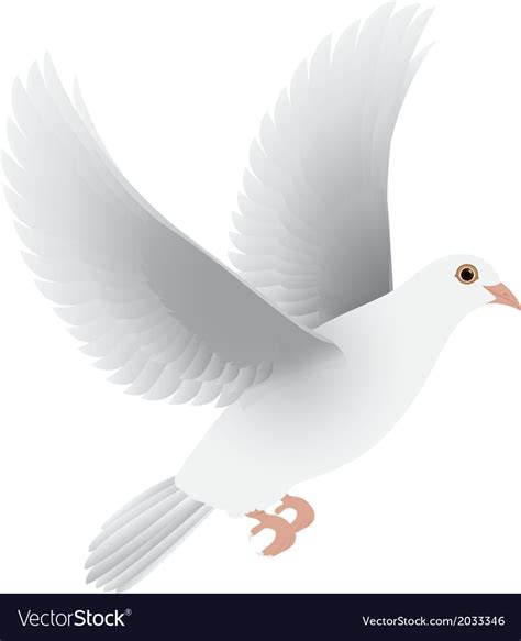 White Dove Isolated Royalty Free Vector Image Vectorstock