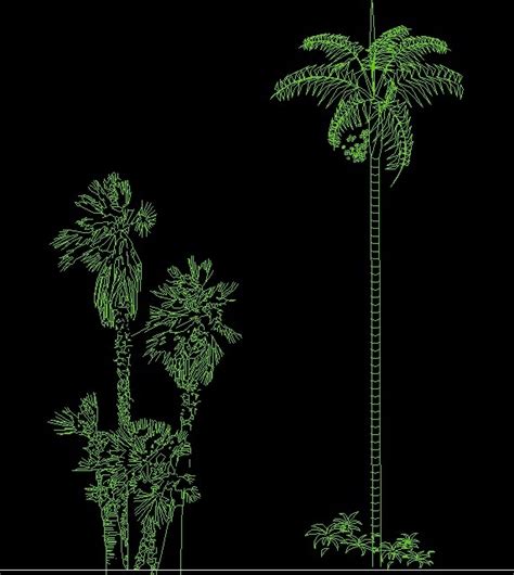 Coconut Palms Trees Plant Front View Elevation 2d Dwg Block For Autocad