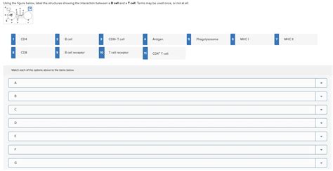 Solved THIS QUESTION IS ALREADY SOLVED IN CHEGG BUT IS NOT | Chegg.com 