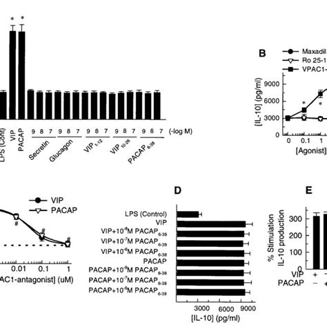 VIP And PACAP Stimulate IL 10 Transcription A And B Macrophages Were