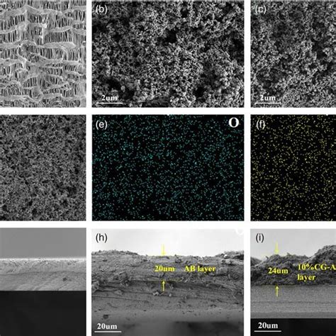 Scanning Electron Microscope SEM Images Of The A Pristine PP