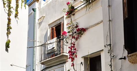 Picturesque Streets Of Monopoli Italy · Free Stock Photo
