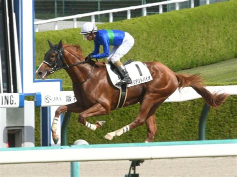 【阪神3r新馬戦結果】バリアントバイオが一気に抜け出して8馬身差v 競馬ニュース Netkeiba