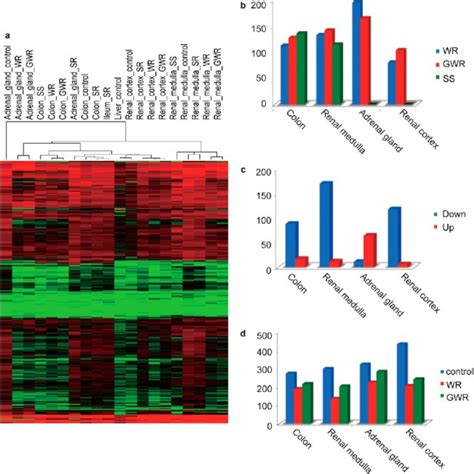 Expression Overview Of Krab Zfp Genes Under Different Treatments A