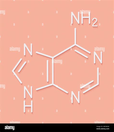 Adenina A Adenina Mol Cula De Nucleobasa Purina Base Presente En