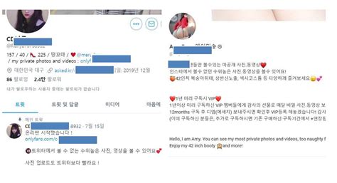 미성년자 제한없는 불법 음란물 온리팬스 국내 확산당국 대응 시급 전자신문