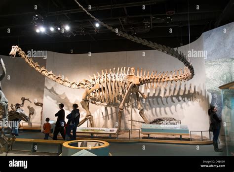 Denver Museum Of Nature And Science Ticket And Audio Tour