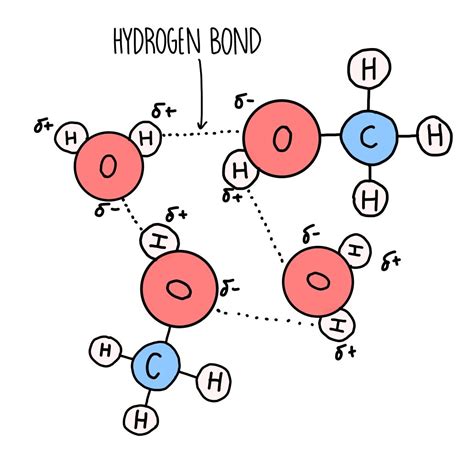 Alcohols — The Science Sauce