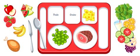 Food Group Sorting Activity Whats On My Plate