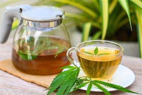 The Benefits and Risks of Microdosing Cannabis for Therapy | Leafy DOC
