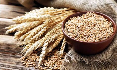 Govt Hikes Wheat MSP By Rs 150 To Rs 2 275 Per Quintal For 2024 25