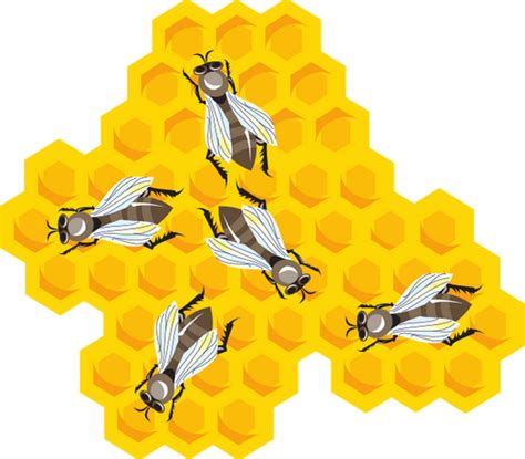 Les Abeilles à La Ruche Dessin Bees Drawing Png