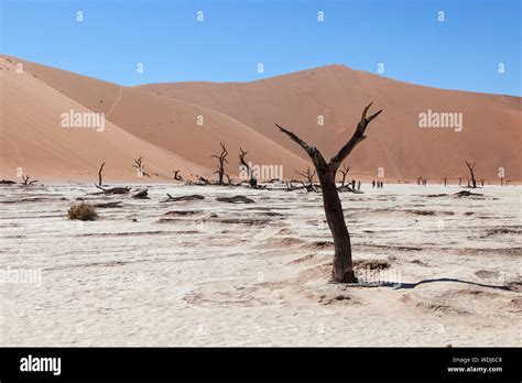 Tropic of Capricorn Sign Stock Photo - Alamy