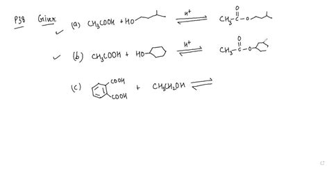 Solved Complete These Examples Of Fischer Esterification Assume That