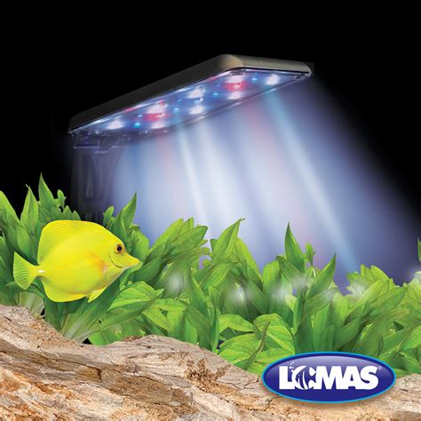 LOMAS LUMINARIO LUZ LED NANO 5 0 W La Jungla De Timo