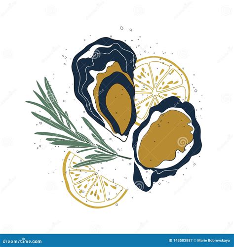 Oyster Set Isolated Oysters Lemon Slices And Rosemary On White Background Hand Drawn