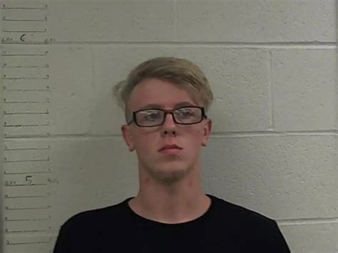 Sedalia Man Arrested After Pellet Gun Incident