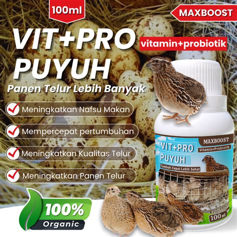 Jual Vit Pro Puyuh Ml Probiotik Herbal Meningkatkan Produksi Telur