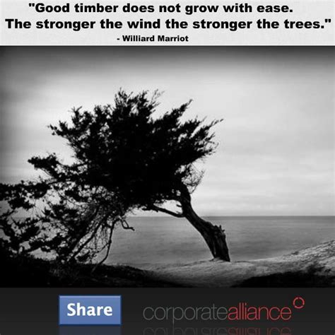 Good Timber Does Not Grow With Ease The Stronger The Wind The Stronger