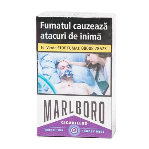 Tigari De Foi MARLBORO Forest Mist 17 ETutun Ro