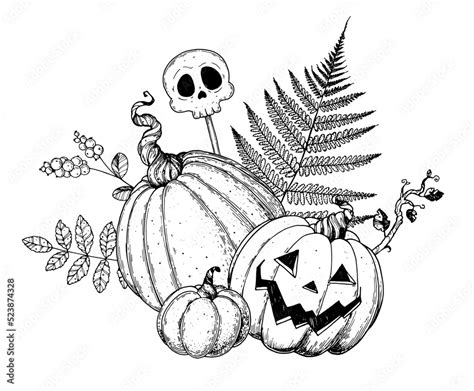 Halloween Pumpkin Sketch Illustration Hand Drawn Vector Illustration Jack O Lantern Autumn