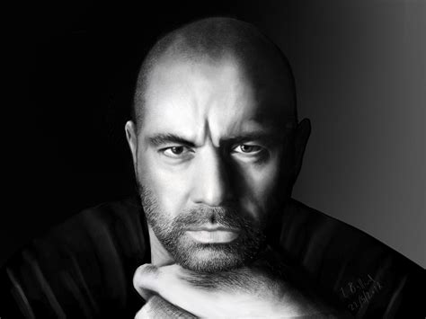 Joe Rogan Wallpapers Top Free Joe Rogan Backgrounds Wallpaperaccess