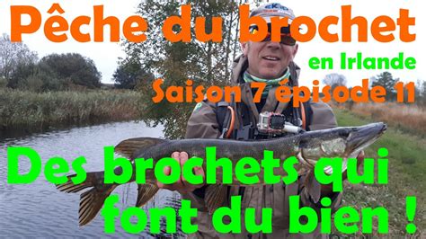 Des Brochets Qui Font Du Bien Pêche En Irlande Saison 7 Ep11 Youtube