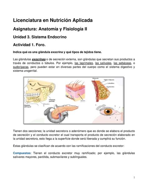 AFI2 U3 A1 Foro Trabajo de anatomia Licenciatura en Nutrición