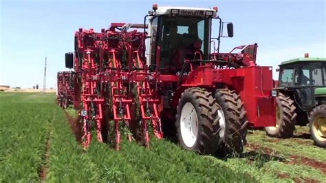 Dewulf ZKIIISE 3 Row Self Propelled Carrot Harvester YouTube