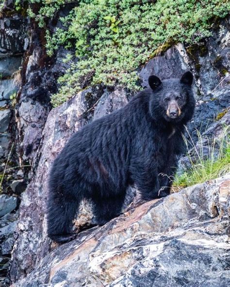 National Geographic On Instagram Photo By Pete Mcbride Pedromcbride