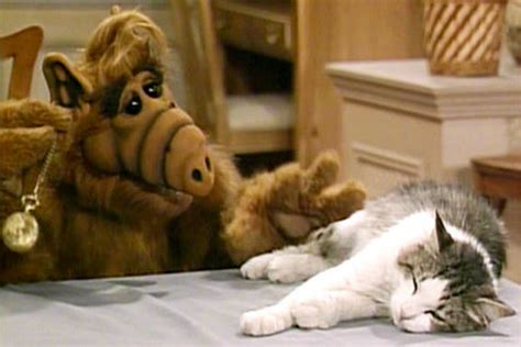 The Guy Who Made ‘Alf’ Thinks We’re Ready For an ‘Alf’ Movie