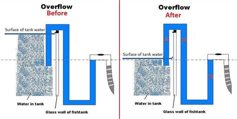 How To Build An Aquarium Overflow Diy Mastery