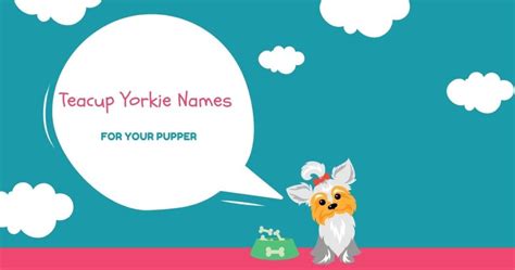 Teacup Yorkie Names For Your Pupper - Groomers' Land