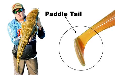 10 Paddle Tail Plastics — Tackle Tactics