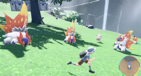 【ポケモンsv】チヲハウハネの色違いと出現場所・弱点タイプ【スカーレットバイオレット】 ゲームウィズ