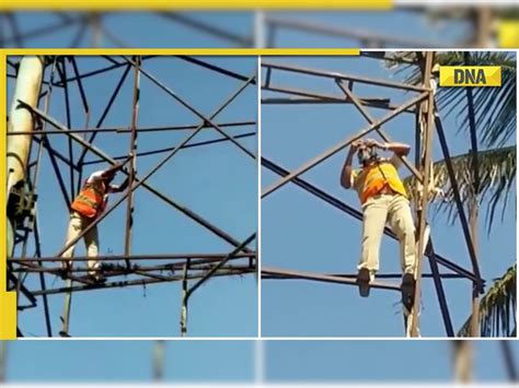 Bengaluru Cop Climbs Huge Hoarding Structure To Save Pigeon Viral