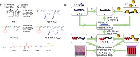 A Synthetic Scheme Of Thiol Modification Of Pb Homopolymer And Ps‐b‐pb