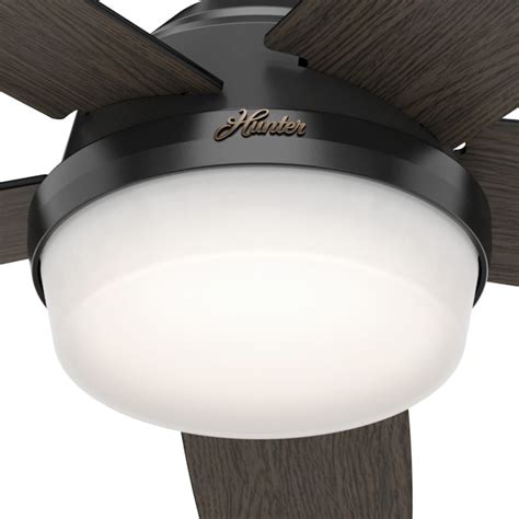 Hunter Salido 60 In Matte Black Indoor Downrod Or Flush Mount Ceiling Fan With Light And Remote