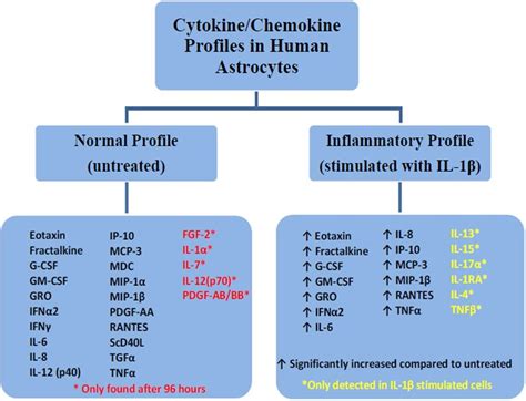 Profiles Of Cytokineschemokines Produced By Human Astrocytes