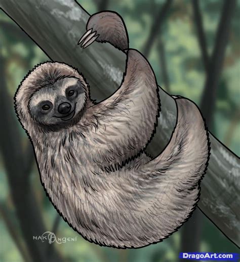 How To Draw Sloths Hundreds Of Drawing Tuts On This Site Sloth