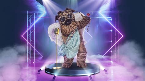 The Masked Singer 2021 Die Masken Der 5 Staffel