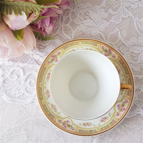 Limoges Elite Works Tea Cup And Saucer With Pink Roses