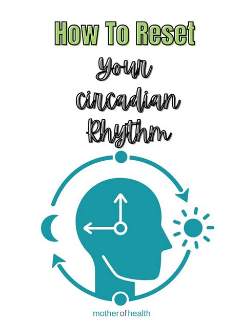 What Is Your Circadian Rhythm and How Can You Reset It | Circadian ...